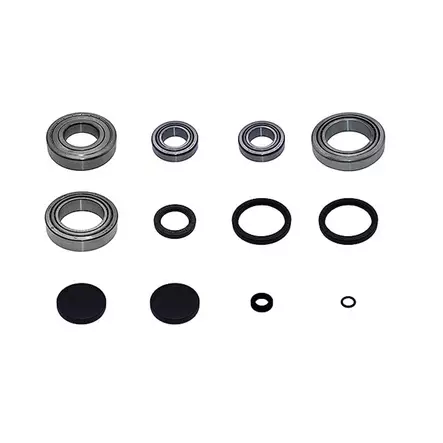 Bearing kit VW e-Golf 0CZ e-axle QMS VII - Volkswagen automatic transmission parts - 761000310 - 1