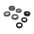 Bearing kit Volvo Rear differential AWD 65mm - Volvo, Ford and Land Rover differentials - MKVOLVO-RDIFF01 - 1