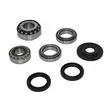 Bearing kit Front Differential Touareg / Q7 / Cayenne - Audi, VW and Porsche differentials - MKVW-FDIFF01 - 1