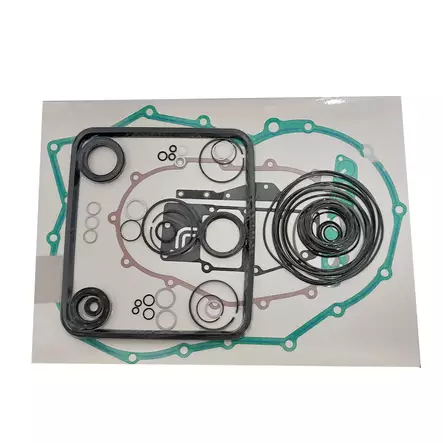 Overhaul kit 4HP18 ZF PSA - ZF4HP18 - 1050298043 - 1