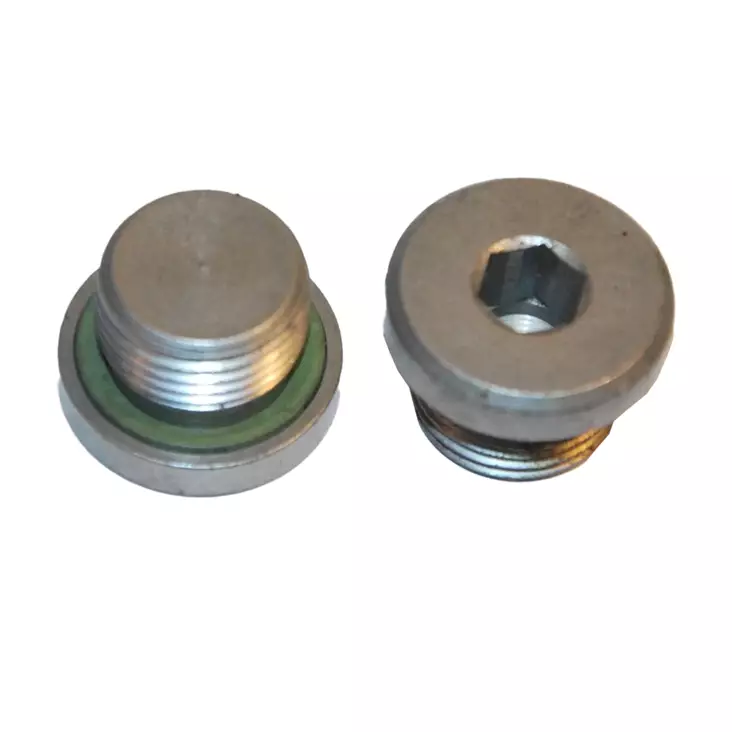 Oil drain plug 5HP19 M14x1.5mm - Screws and nuts - 0736302062 - 1
