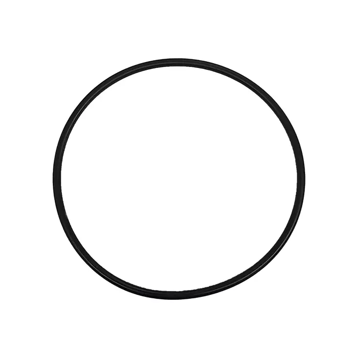 Gasket Haldex GEN5 pump O-ring - Haldex / AOC differentials - 1000089 - 1