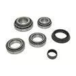 Bearing kit 2H0 VW Amarok rear differential - Audi, VW and Porsche differentials - MKVWAMAROK-RDIFF - 1