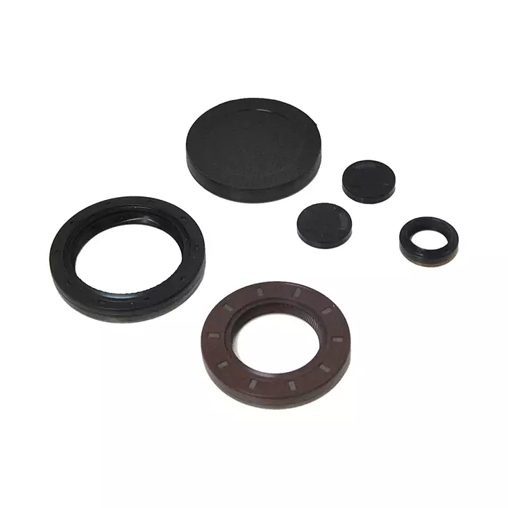 Seal kit GS6-17DG BMW - GS6-17BG/DG - SKGS6-17DG - 1